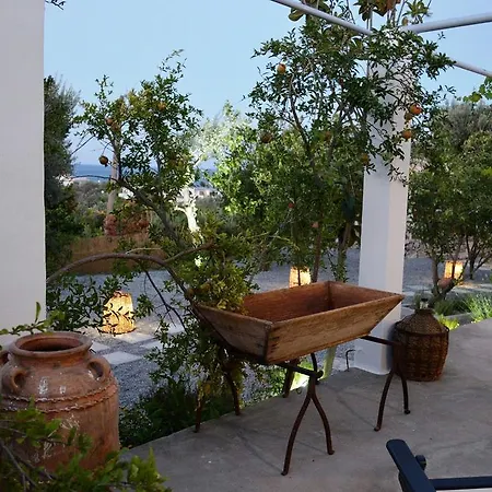 Ktima Natura Archangelos (Rhodes)