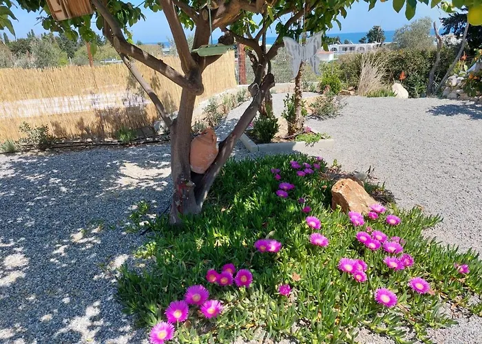 Casa vacanze Ktima Natura Archangelos (Rhodes)